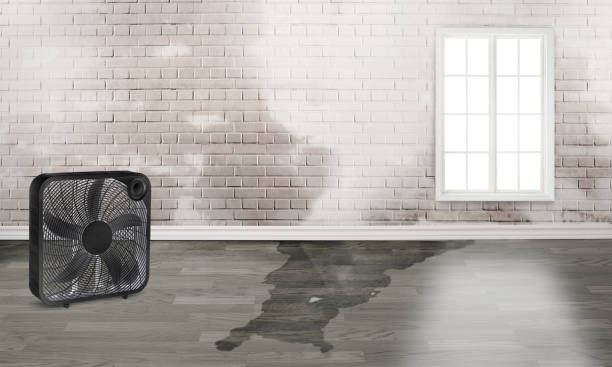 Best Flood damage cleanup  in Liberty, TX