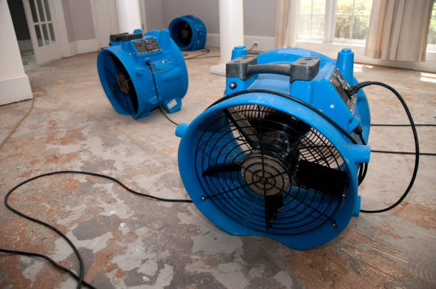 Best Professional water damage repair  in Liberty, TX
