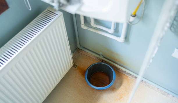 Best Professional water damage repair  in Liberty, TX